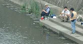 釣れない日010624(撮影関富士子相模川支流にて)