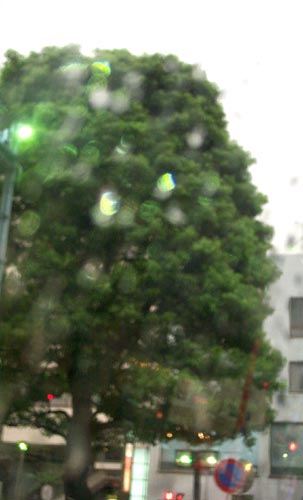学生街の雨3b 撮影 北爪満喜