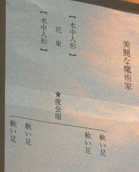 美麗な魔術家