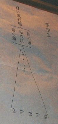 空中魚